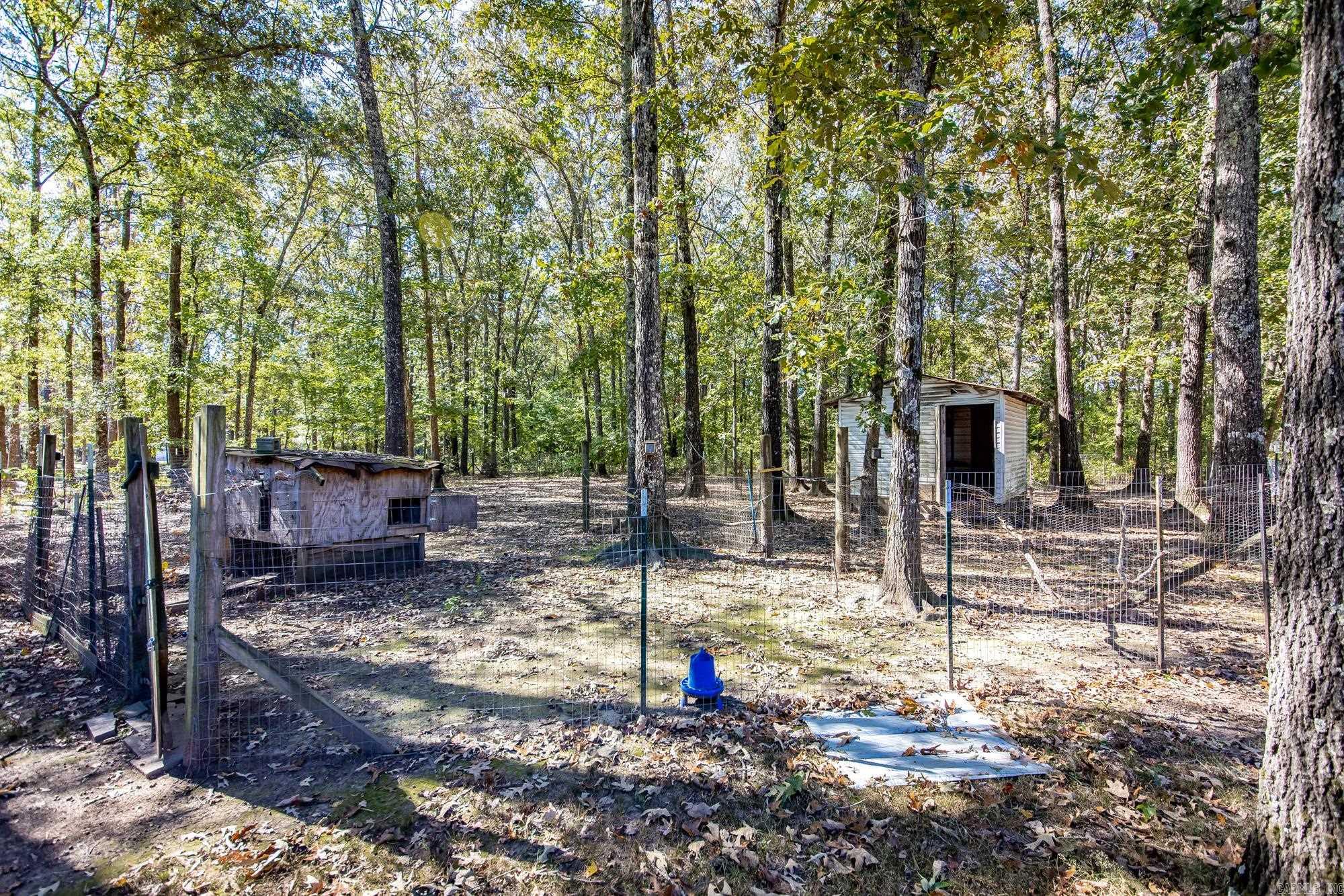 197 Jones Loop