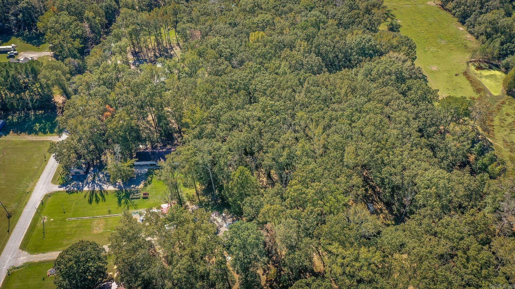 197 Jones Loop