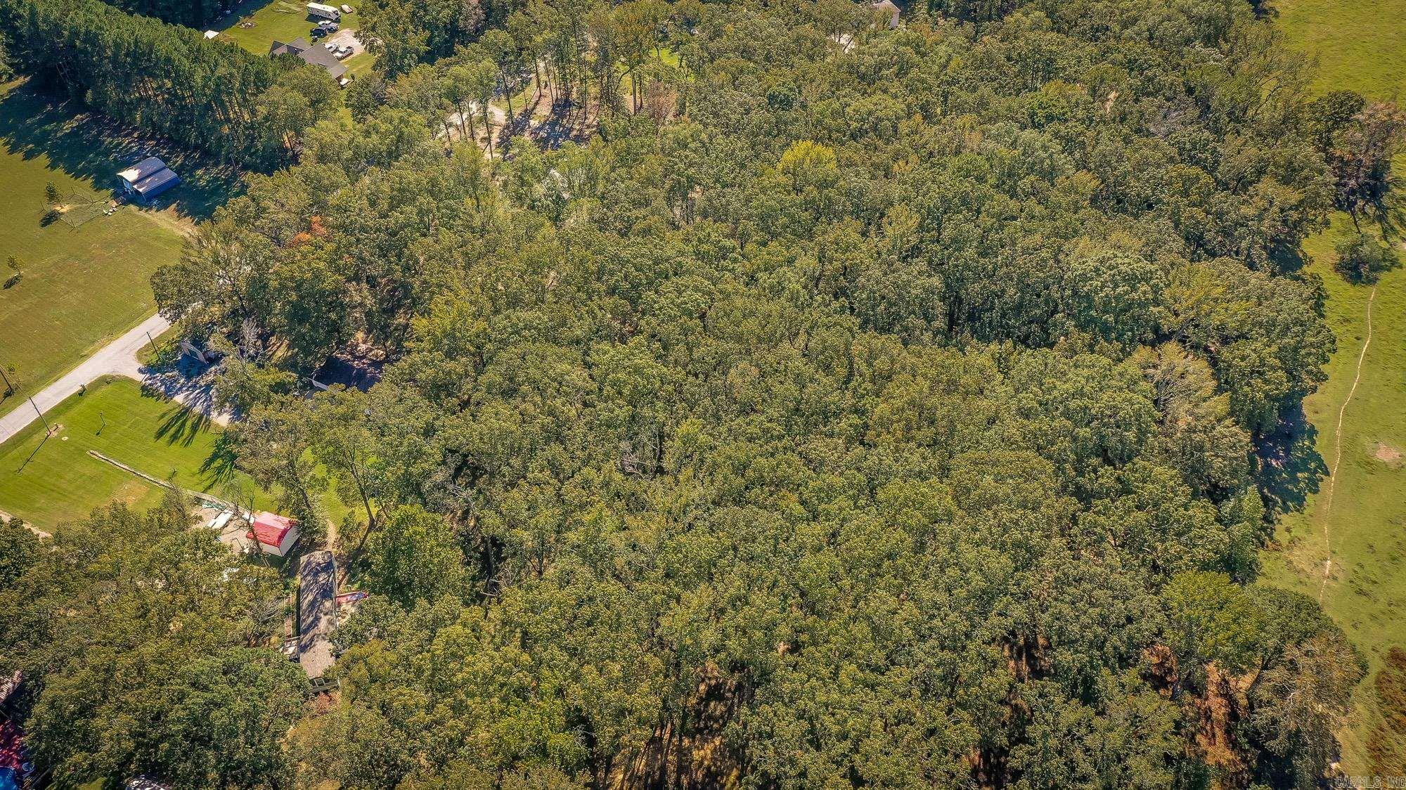 197 Jones Loop