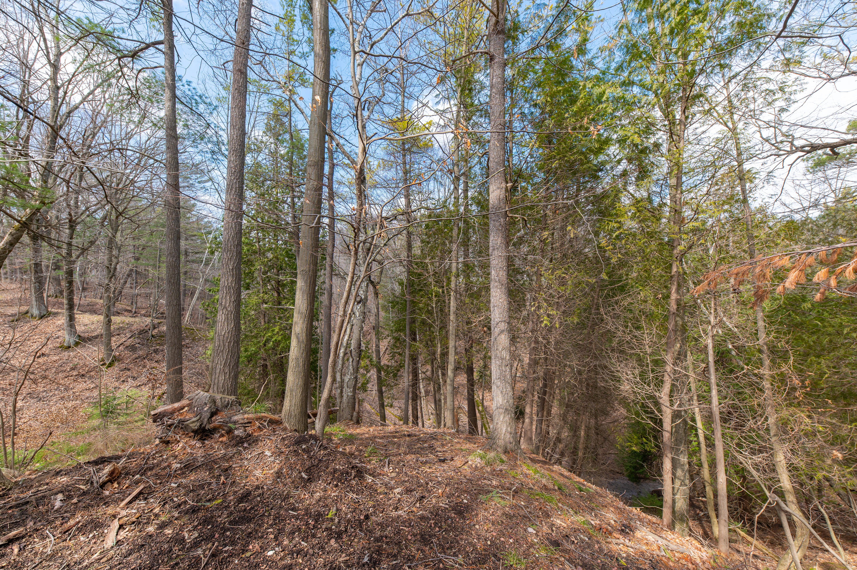 500 E Juniper Ct