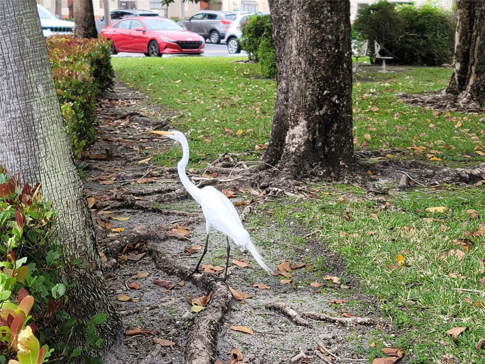 712 Congressional Way 712