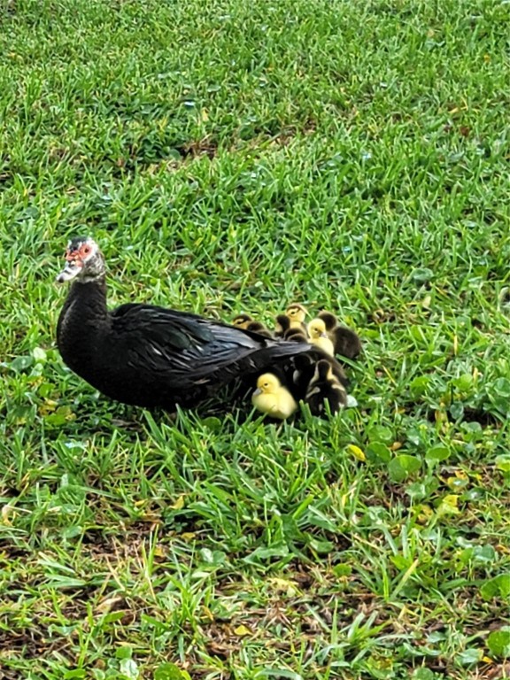 712 Congressional Way 712