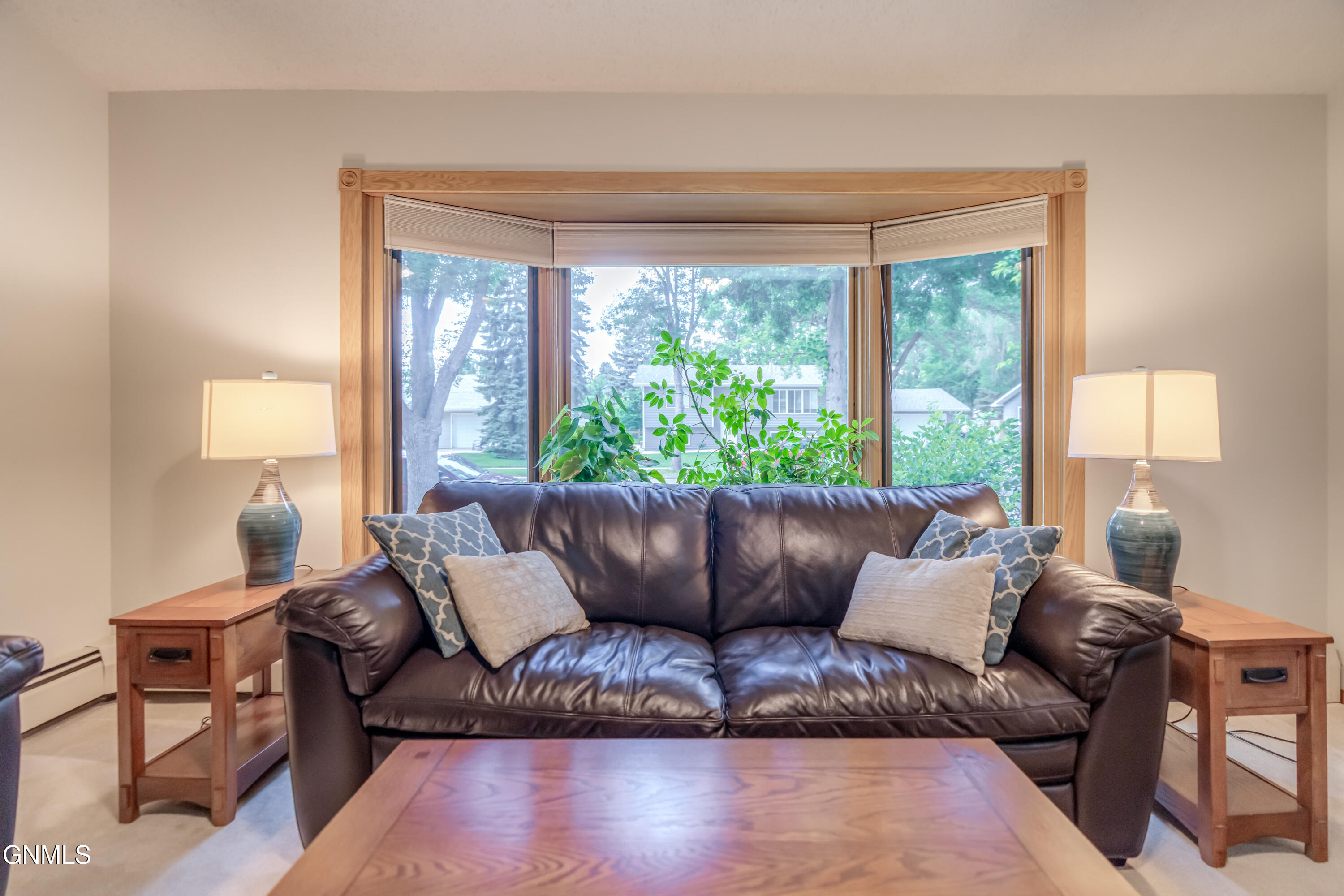 1317 Pocatello Drive