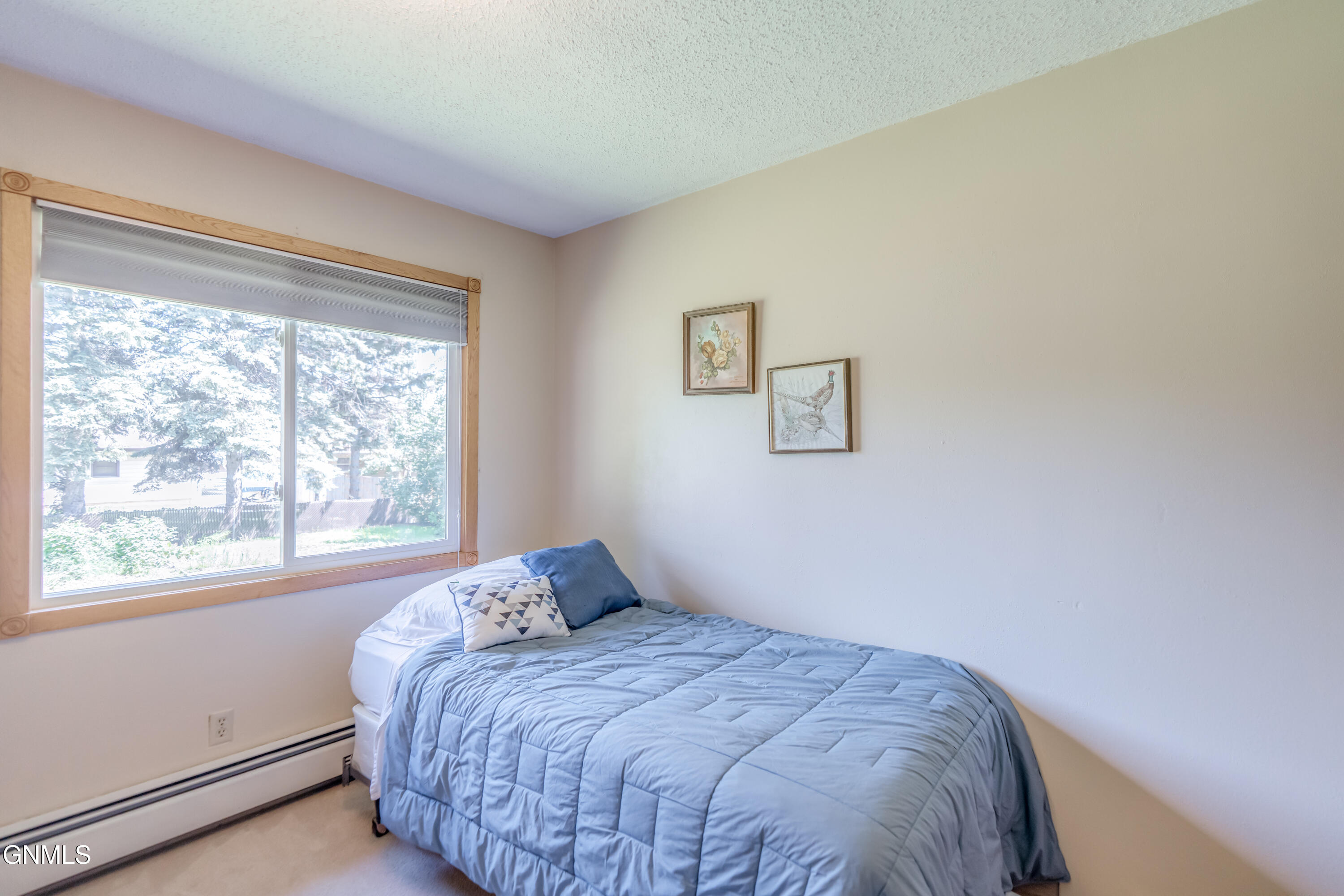 1317 Pocatello Drive