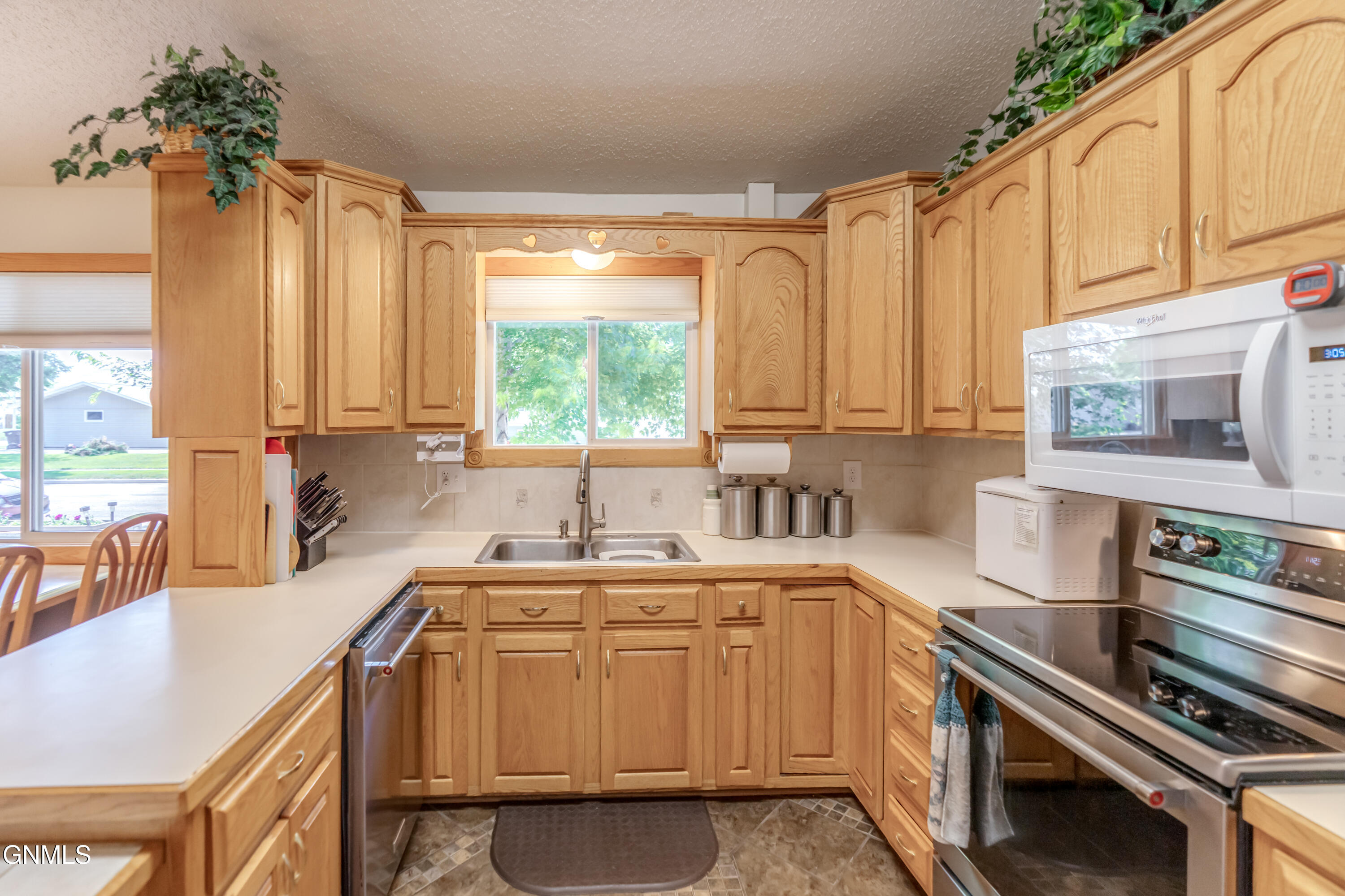 1317 Pocatello Drive