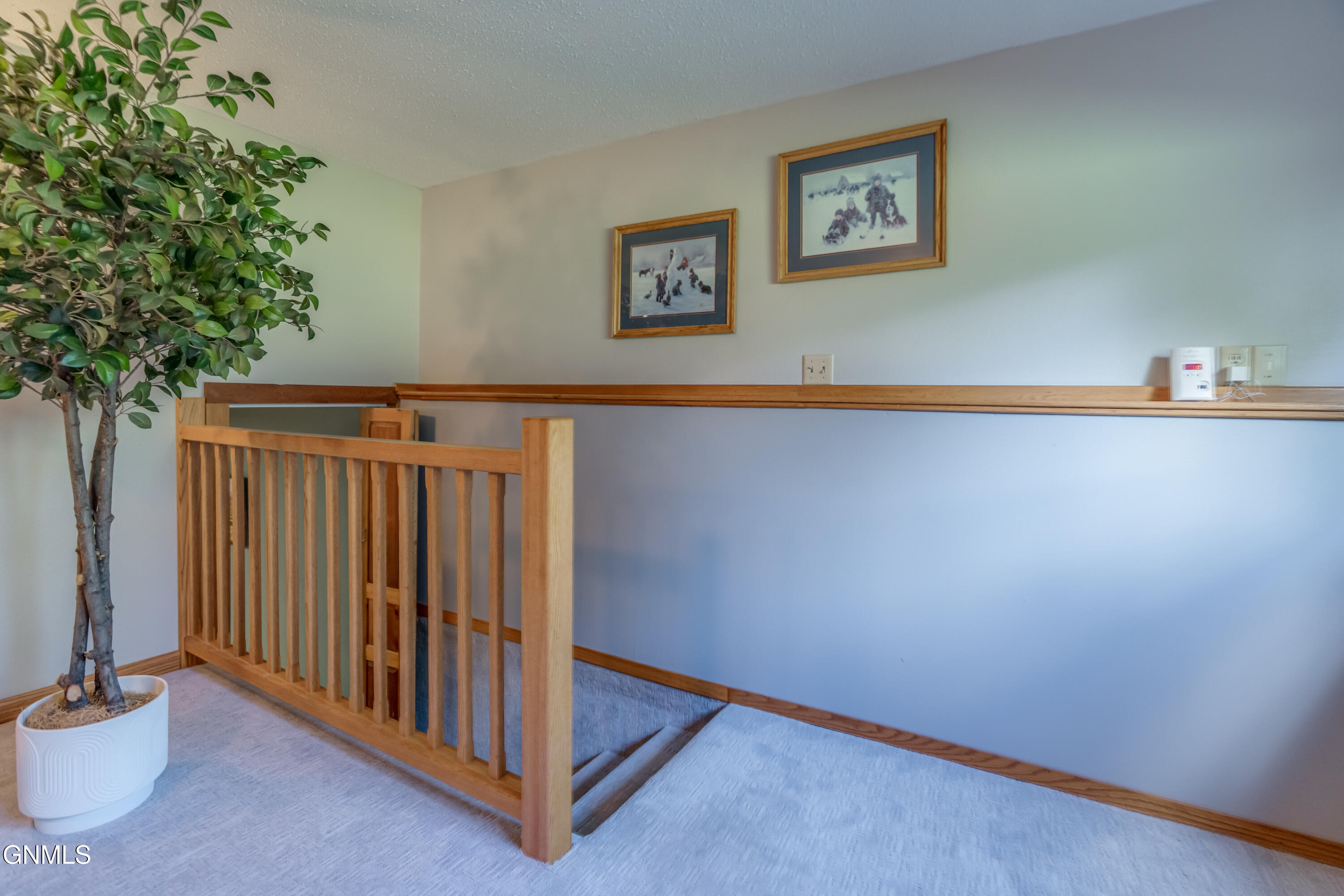 1317 Pocatello Drive