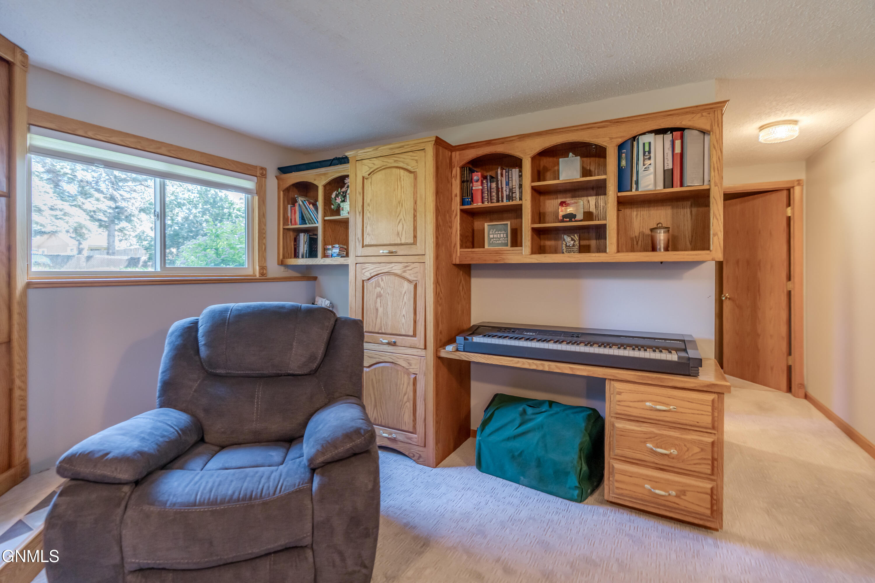 1317 Pocatello Drive