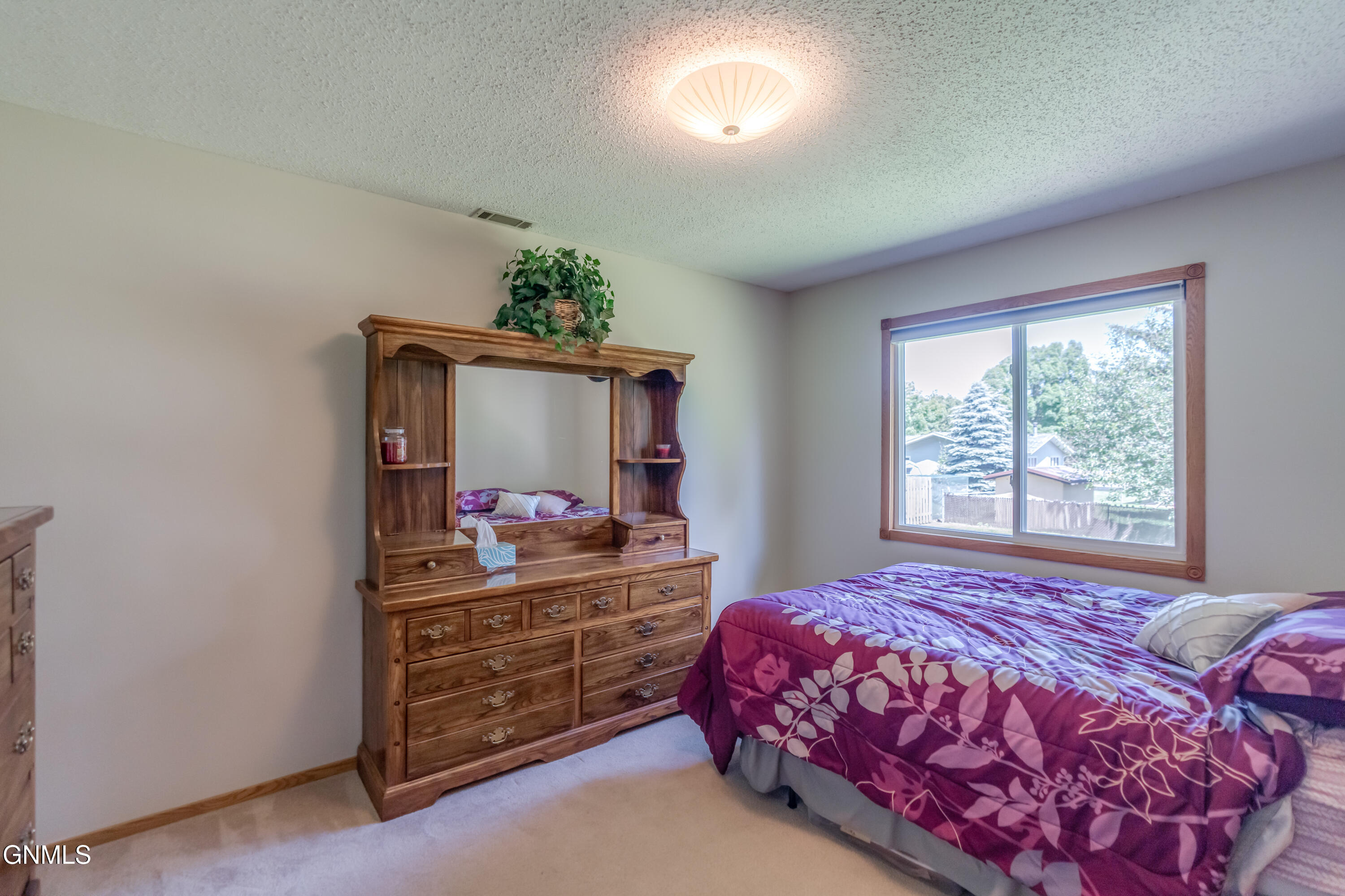 1317 Pocatello Drive