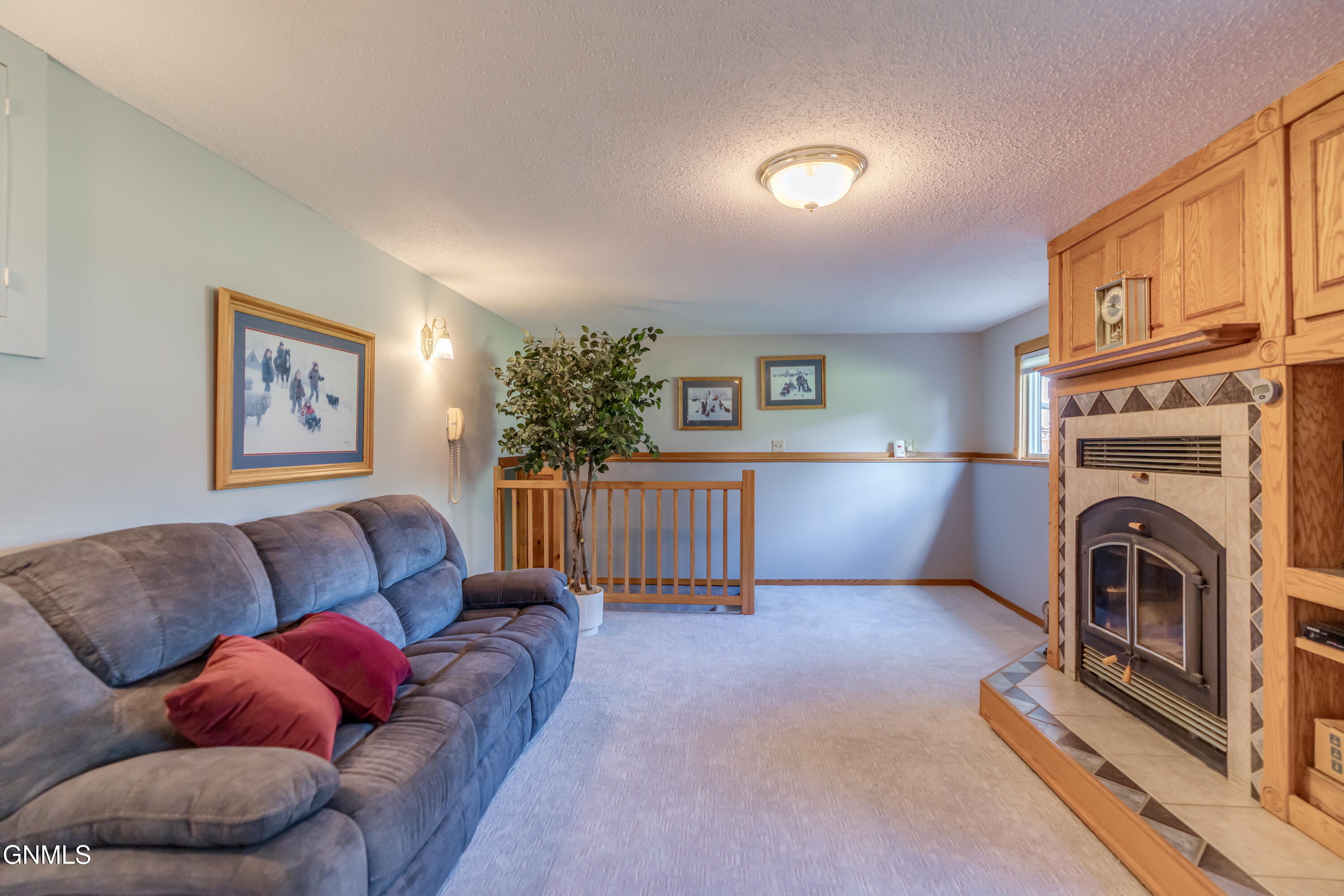 1317 Pocatello Drive