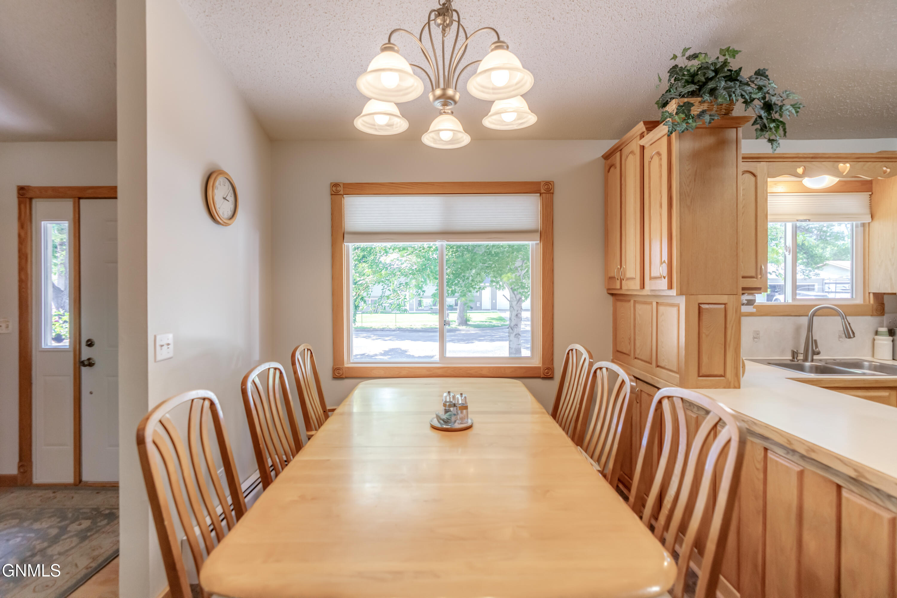 1317 Pocatello Drive