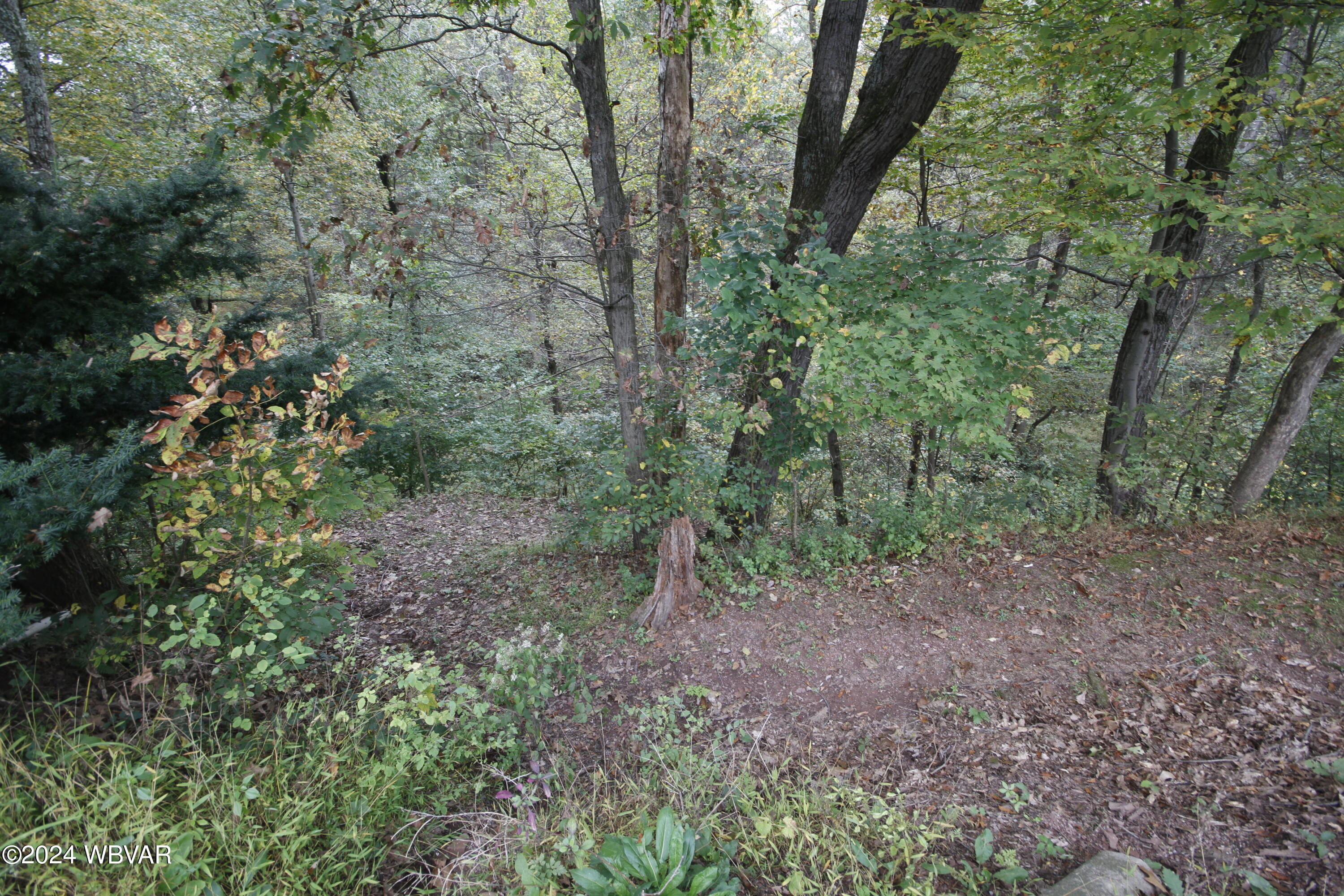 299 YOCUM LANE