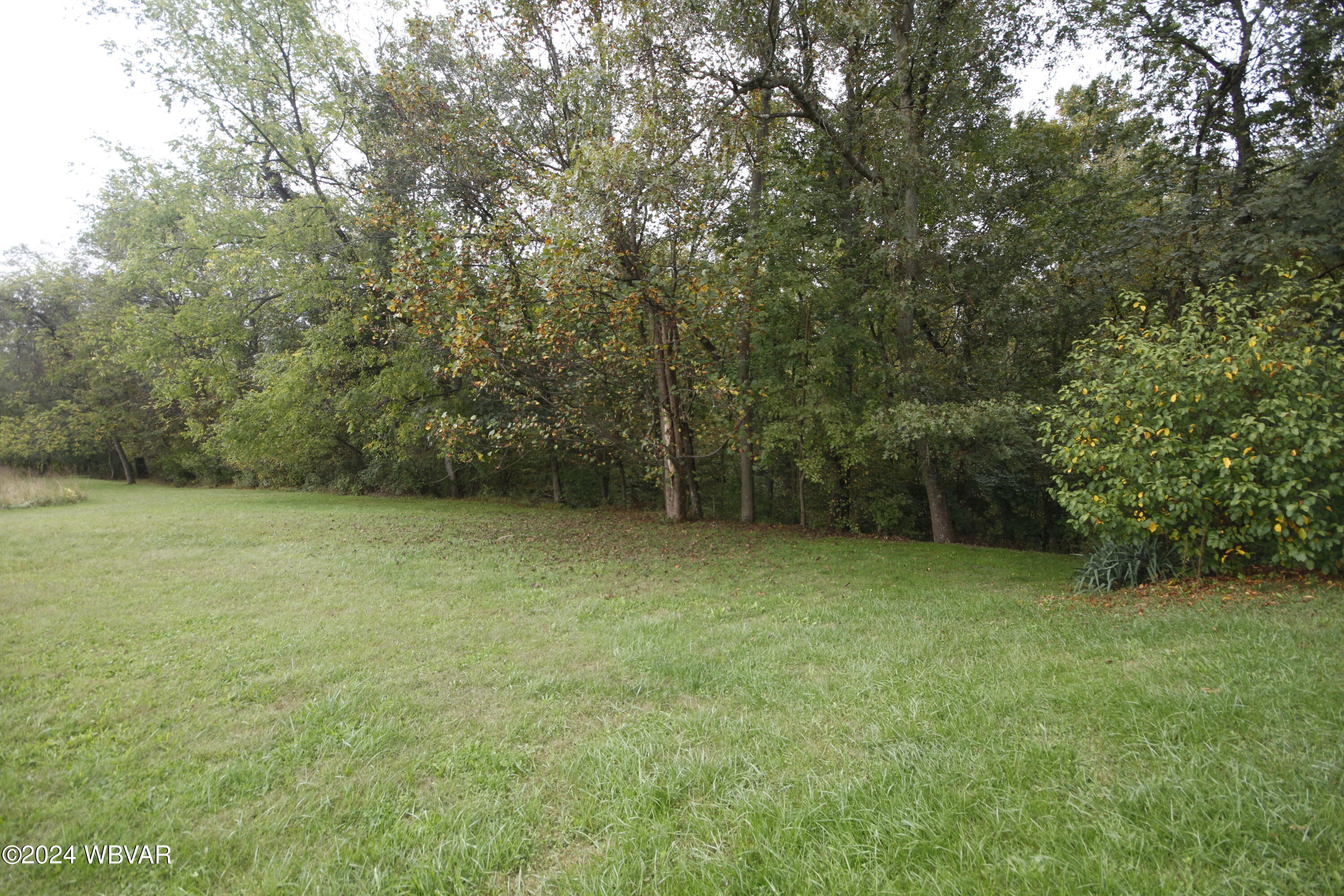 299 YOCUM LANE