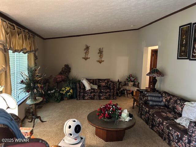 199 HEATHERBROOKE ESTATE