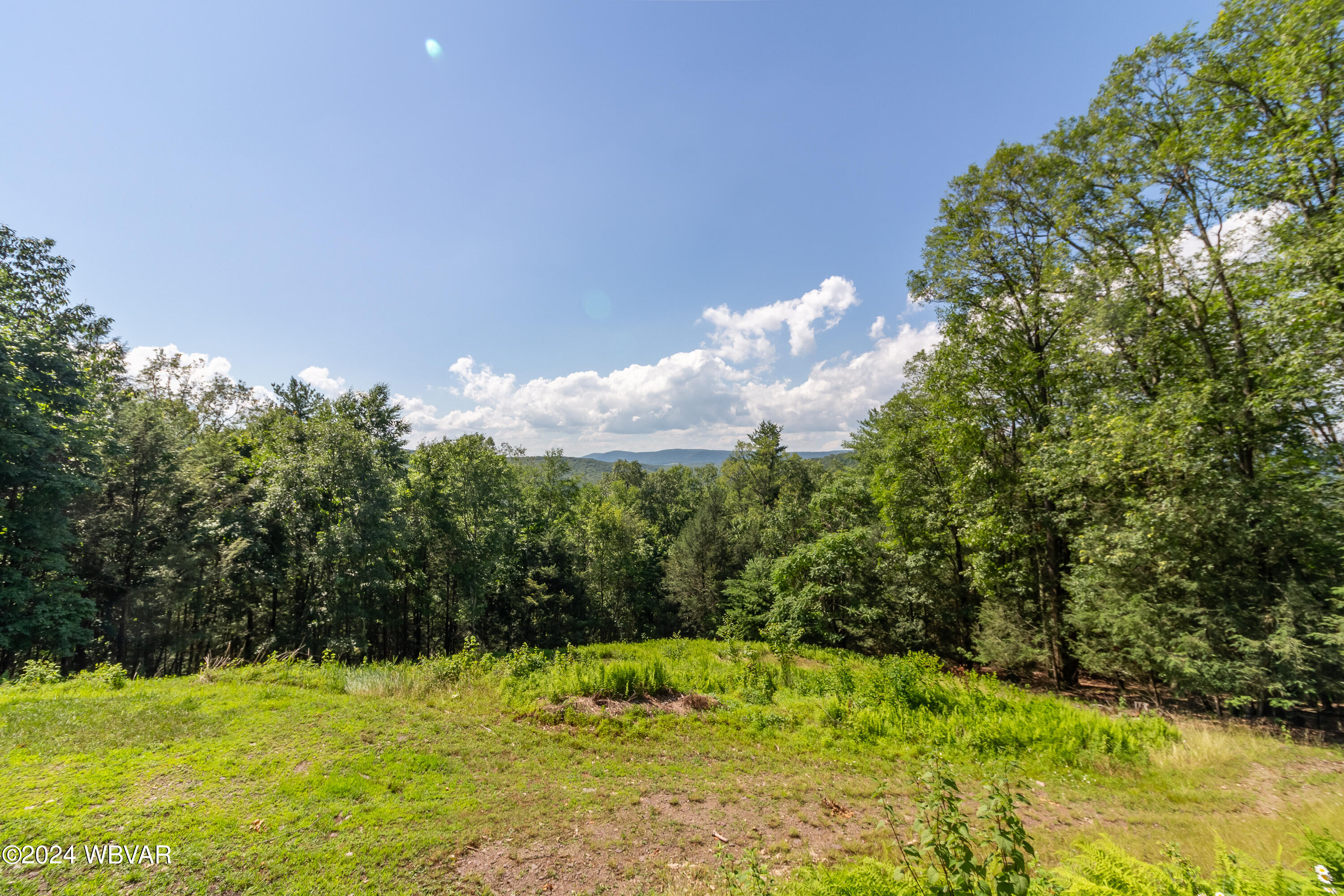 981 FOUST HILL ROAD