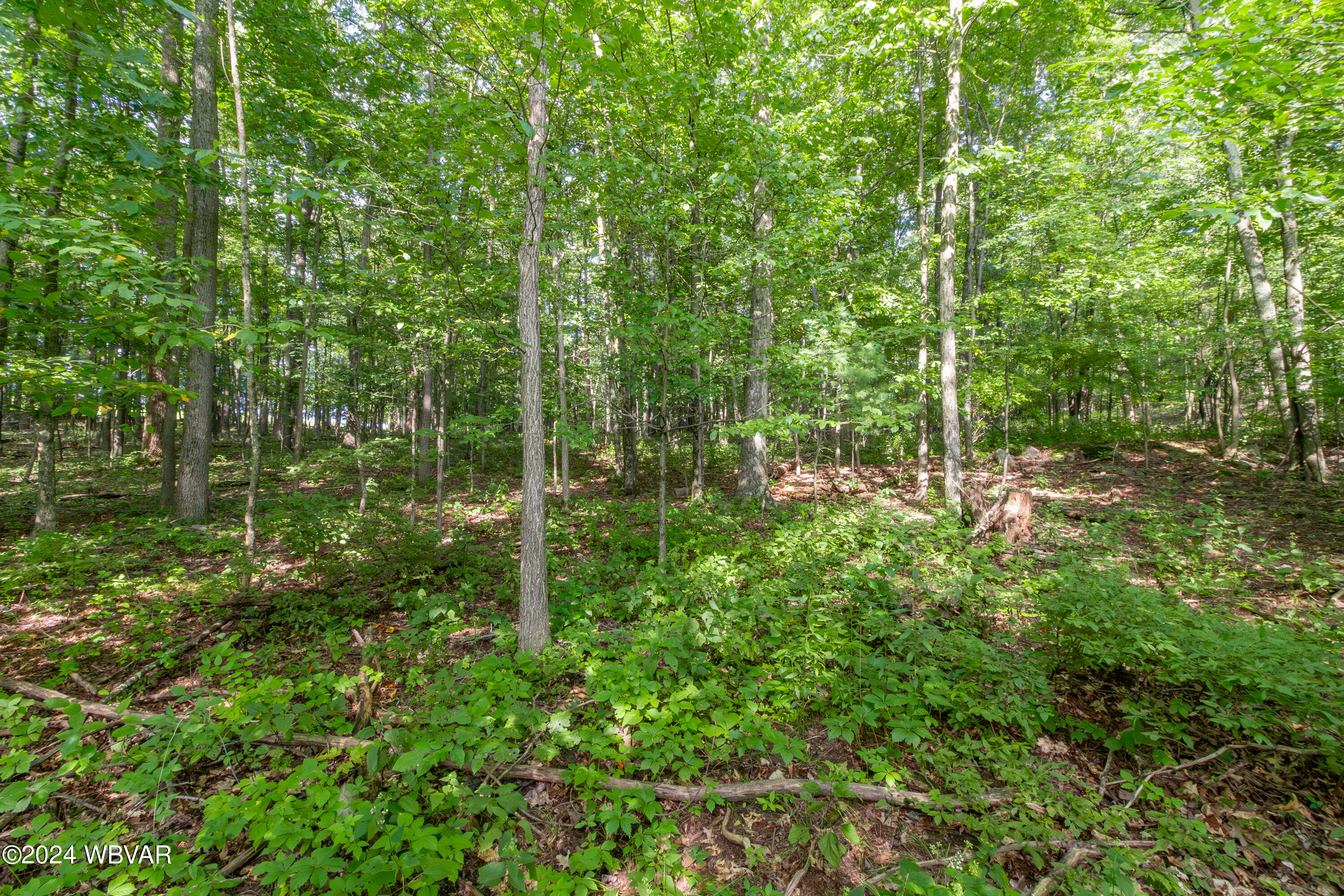 265 RICHART ROAD
