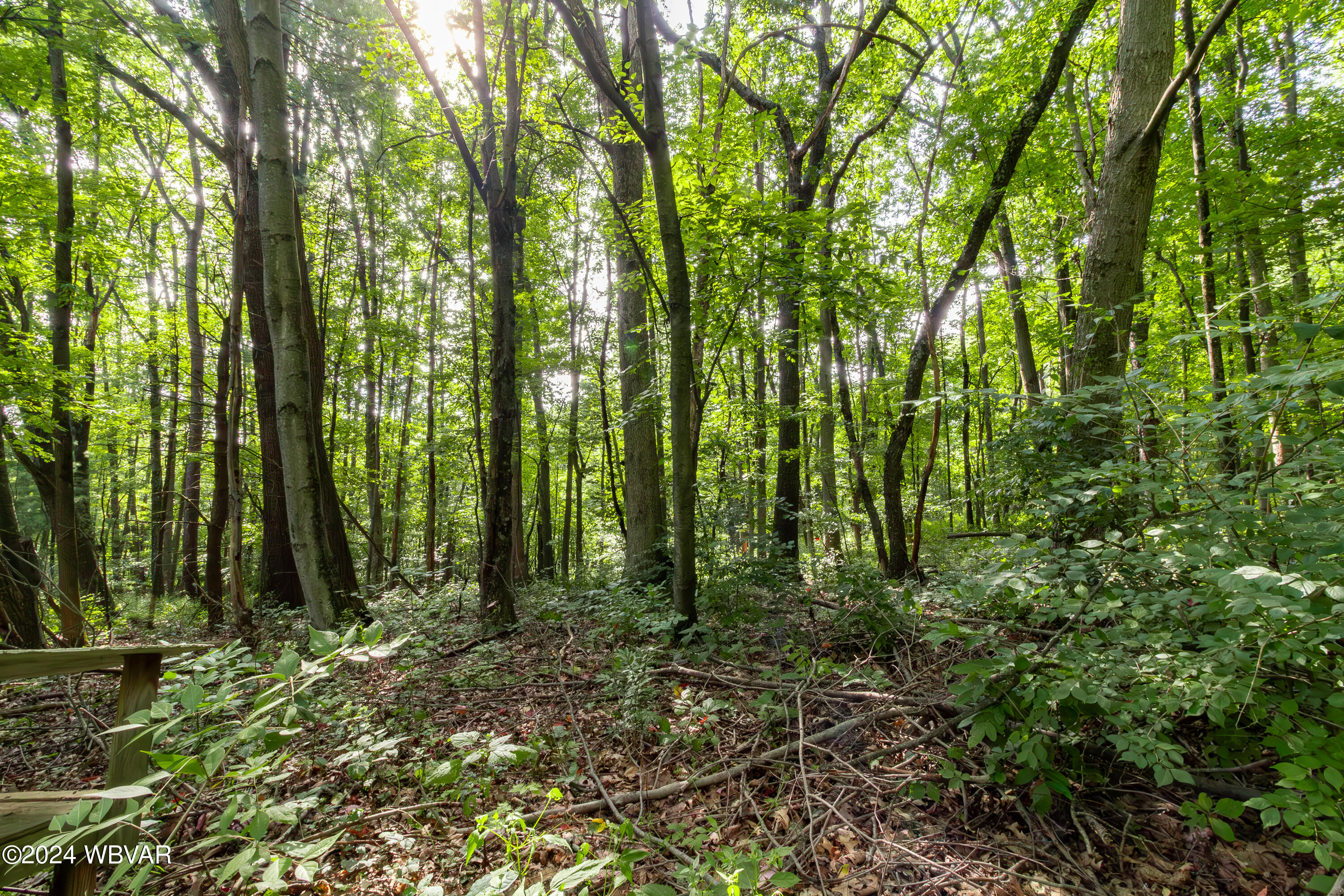 265 RICHART ROAD