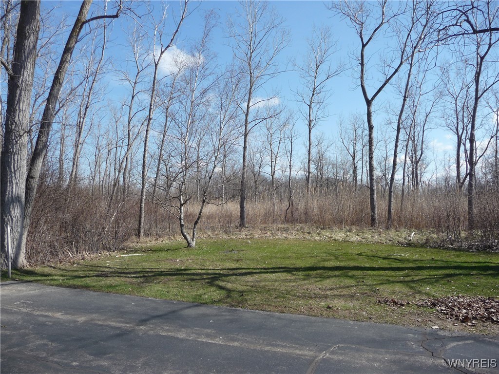 46 Pebble Creek Drive