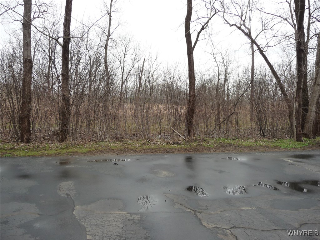 46 Pebble Creek Drive