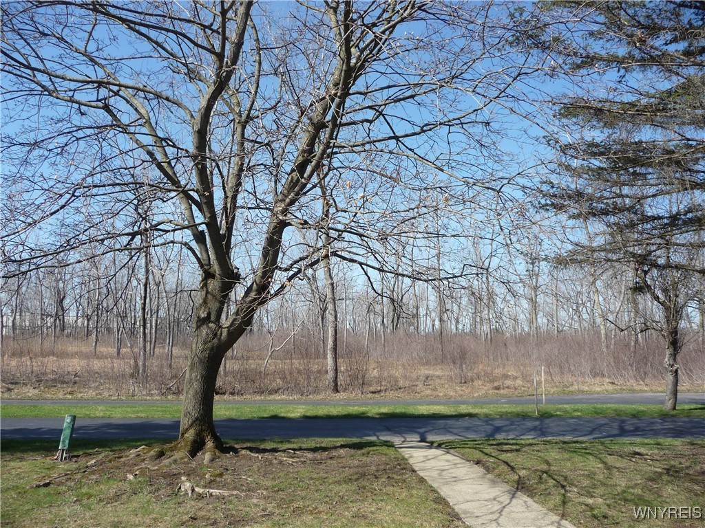 46 Pebble Creek Drive