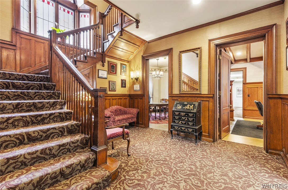 343 Elmwood Avenue