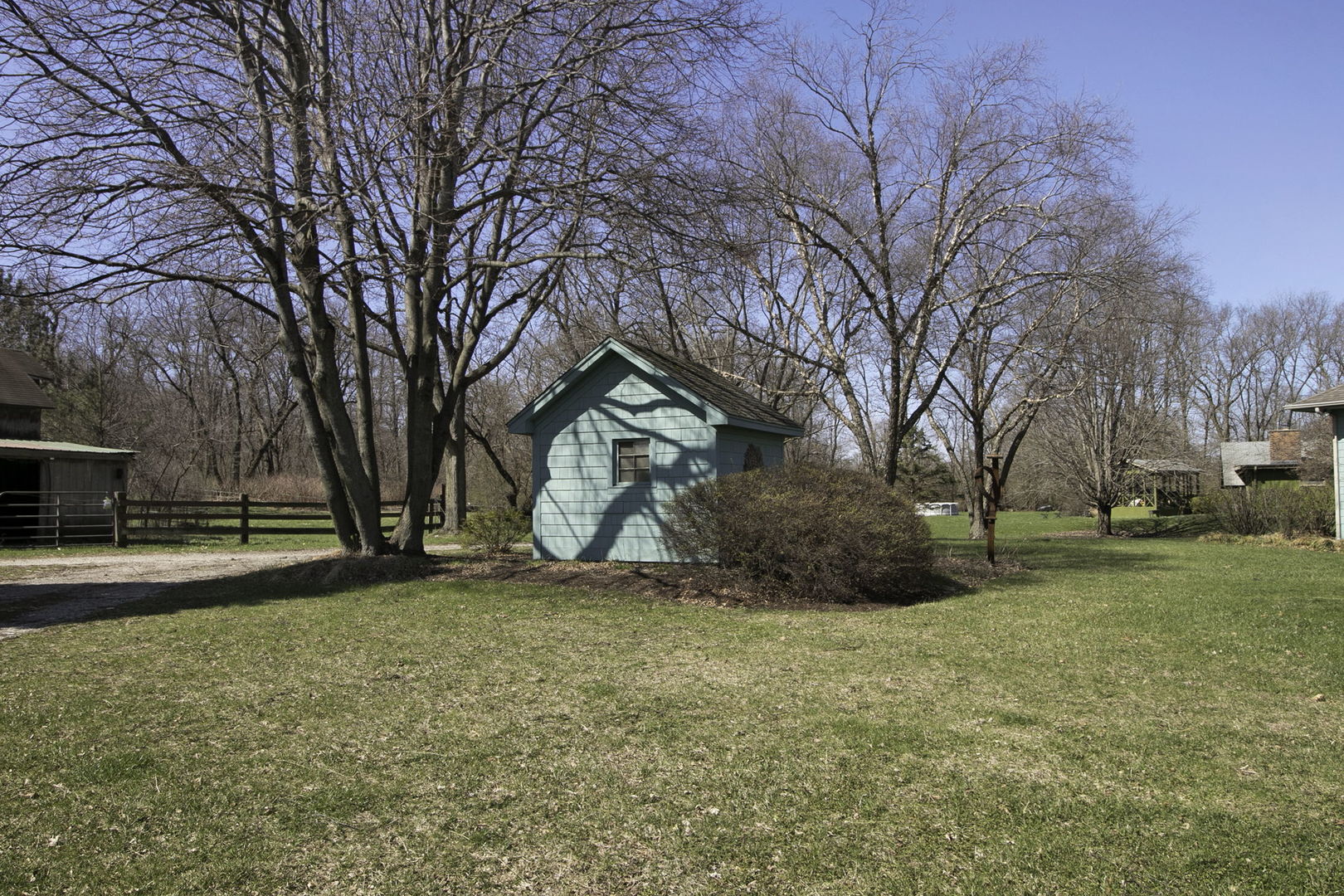 Backyard with a small blue shed, mature trees, and a fenced lawn.