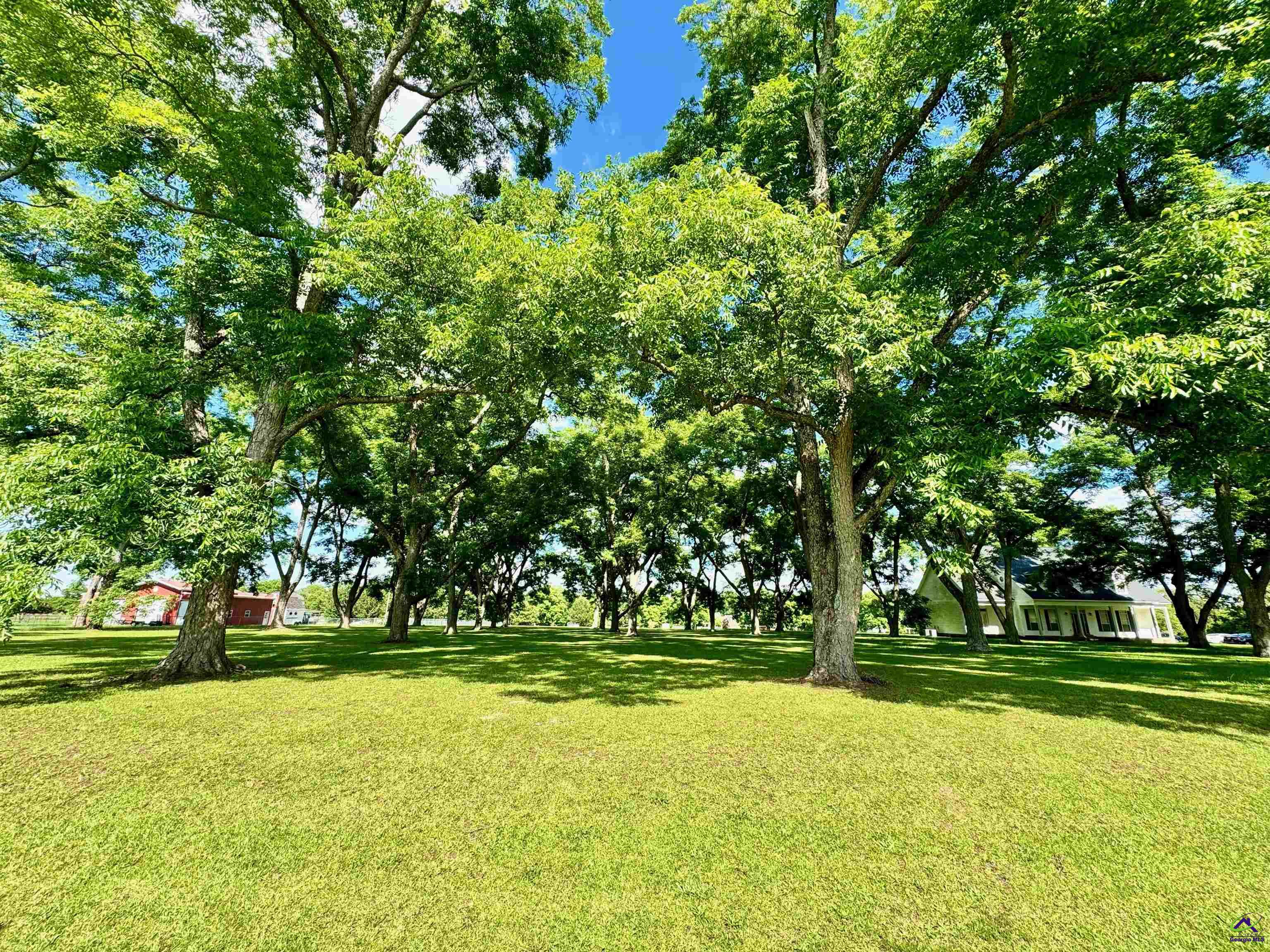 2.75 Acres Jones Road