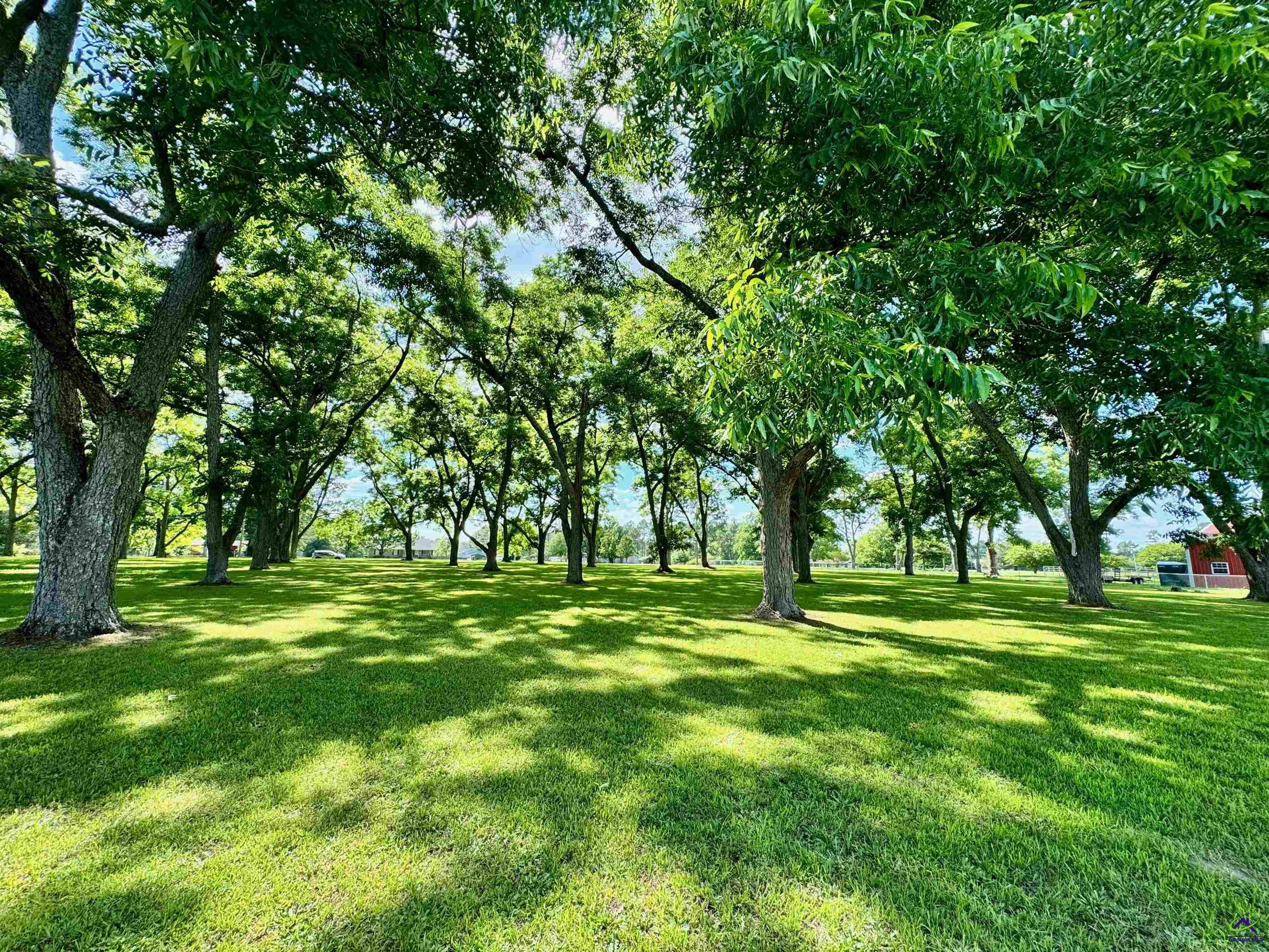 2.75 Acres Jones Road