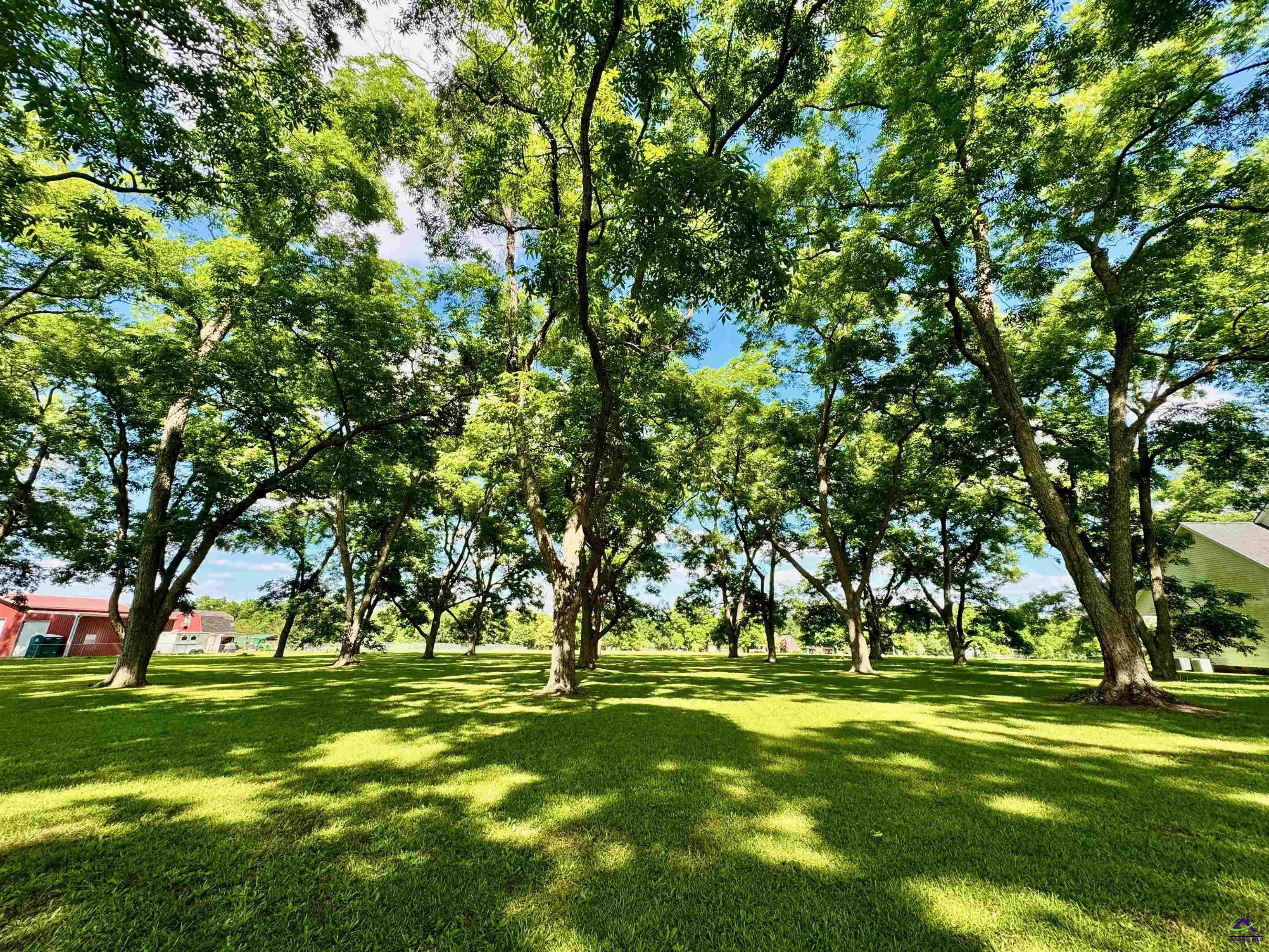 2.75 Acres Jones Road