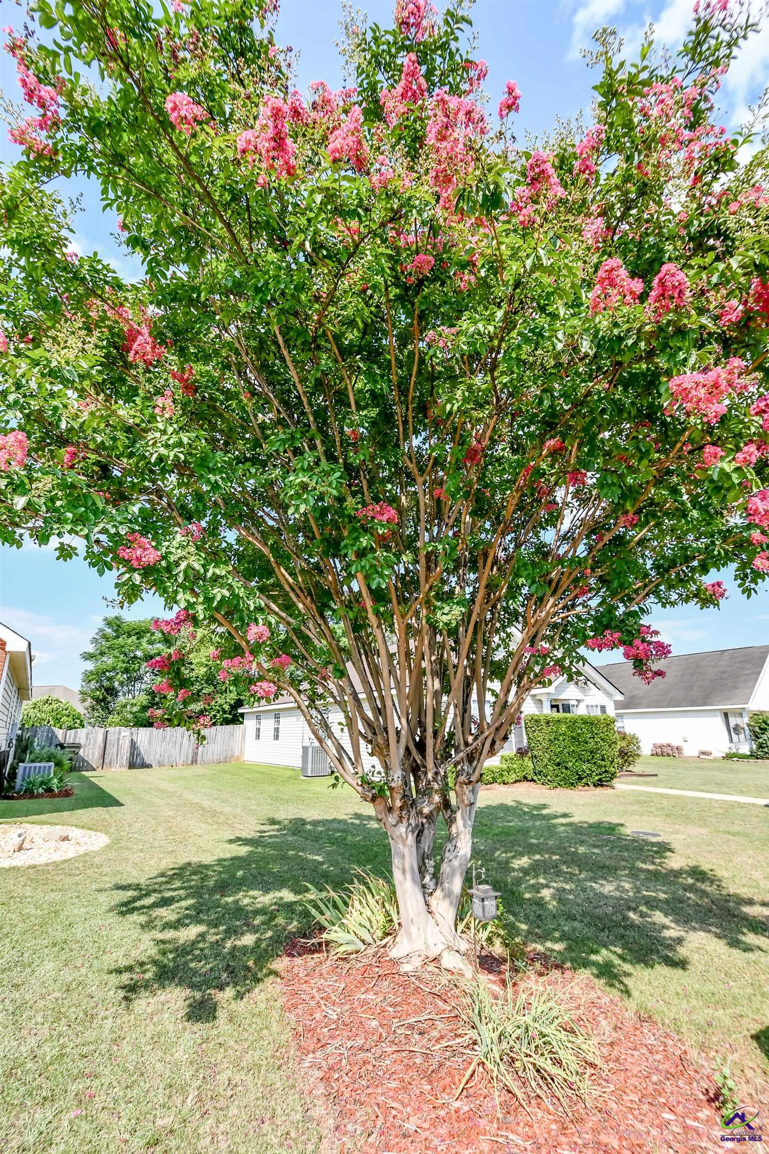 316 Chadwyck Circle