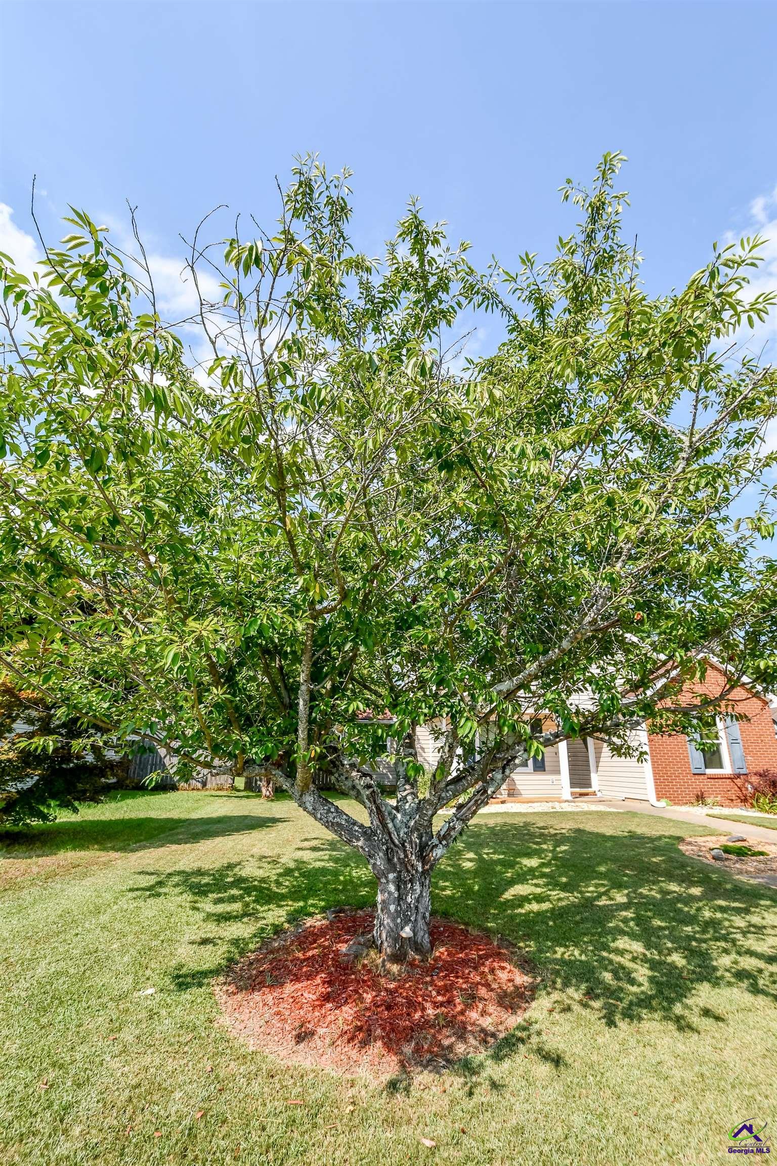 316 Chadwyck Circle