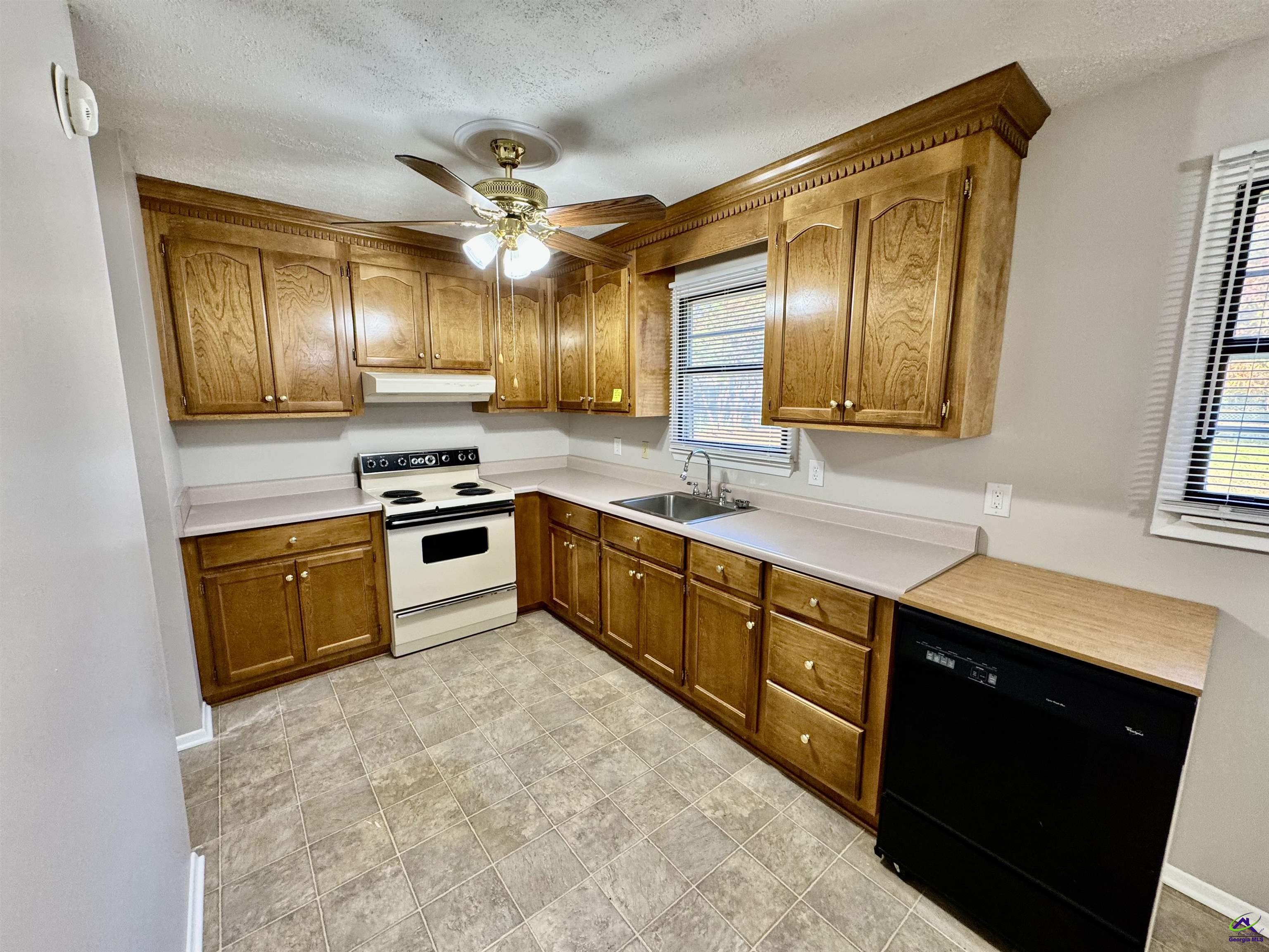 303 Palomino Lane