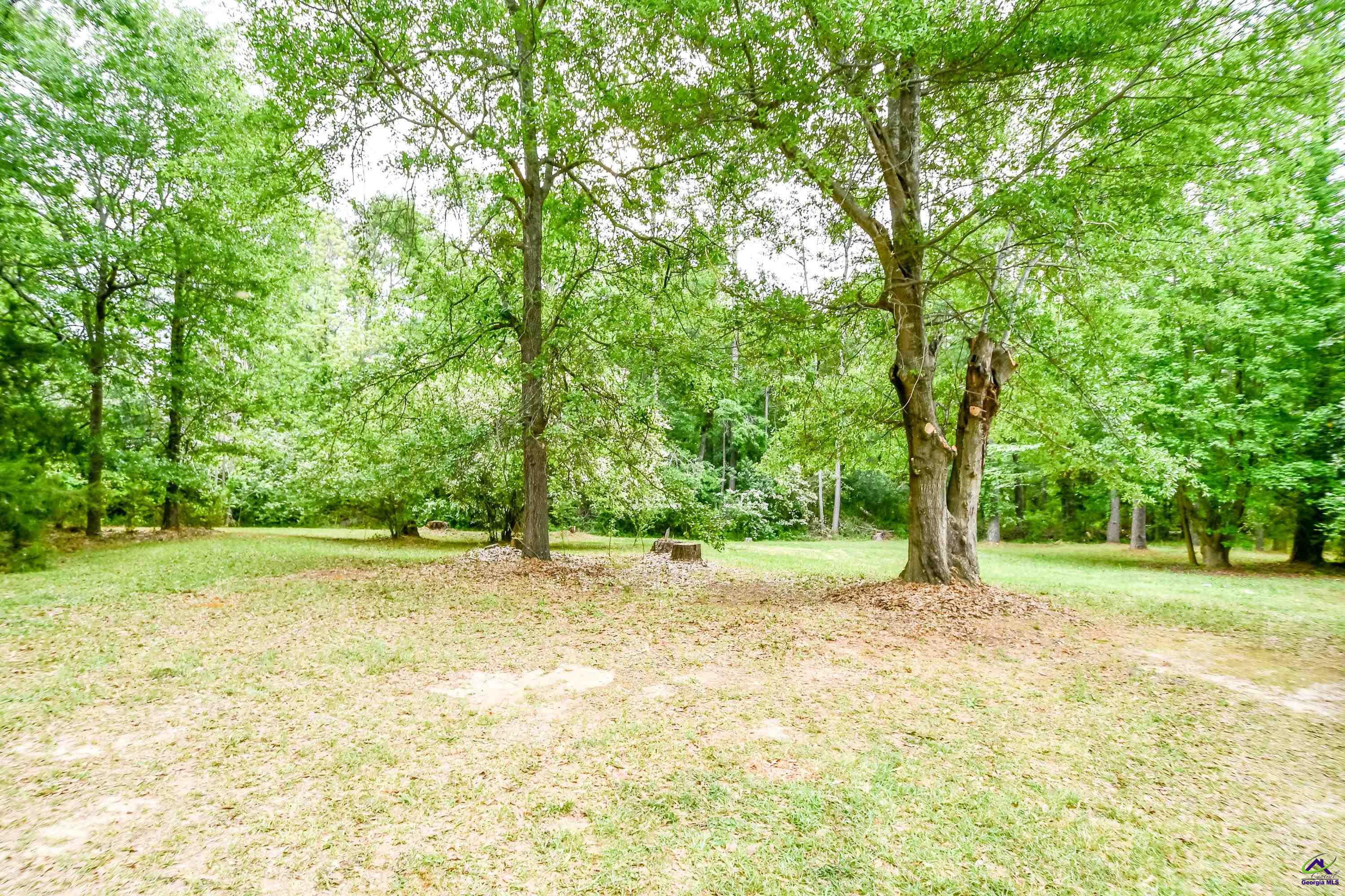 116 Plum Lane