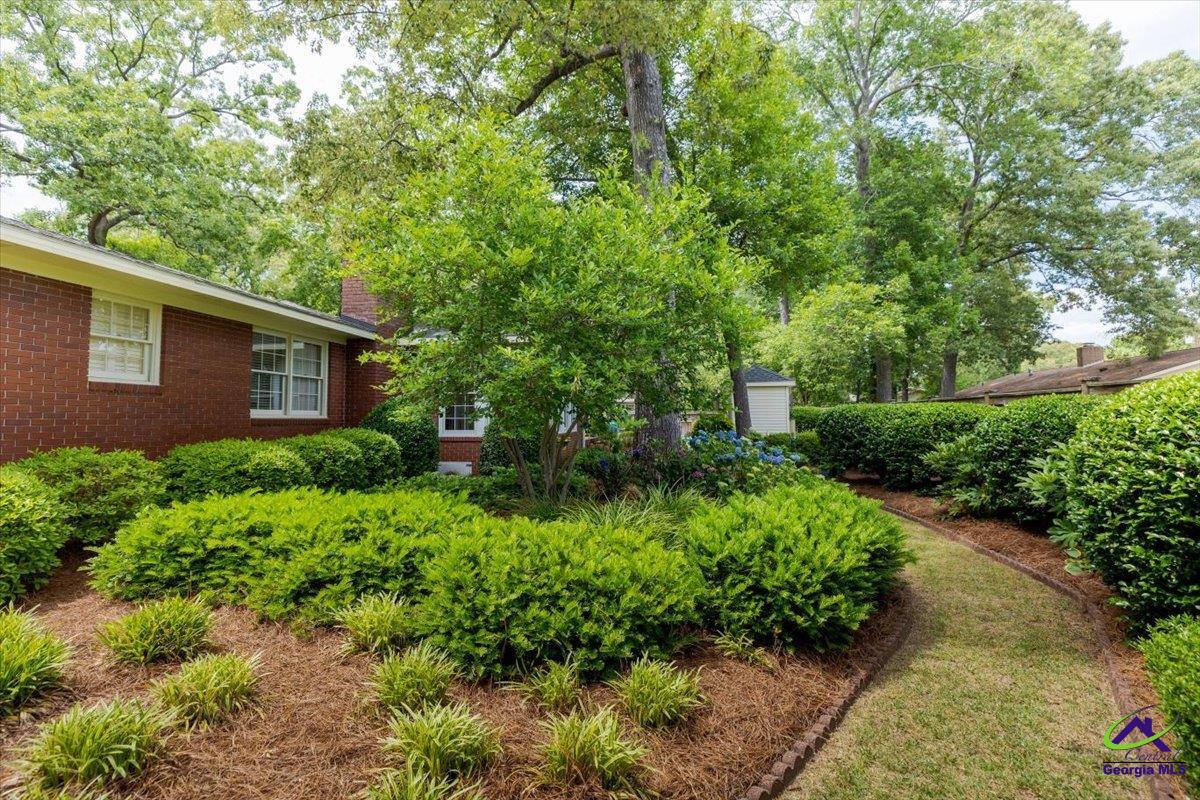 206 Ridgeland Drive