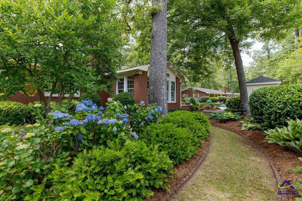 206 Ridgeland Drive