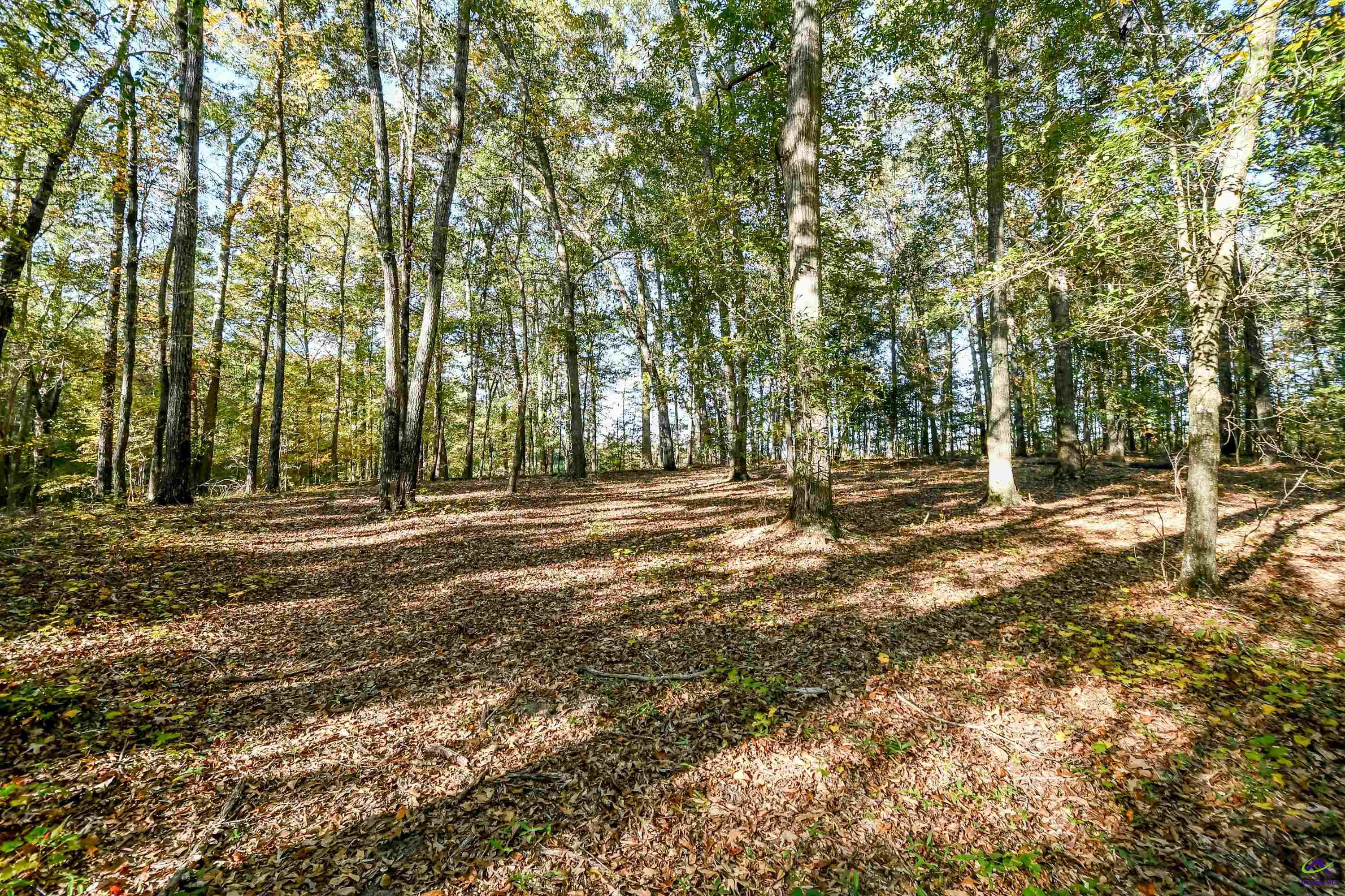 4285 Holly Hill Drive