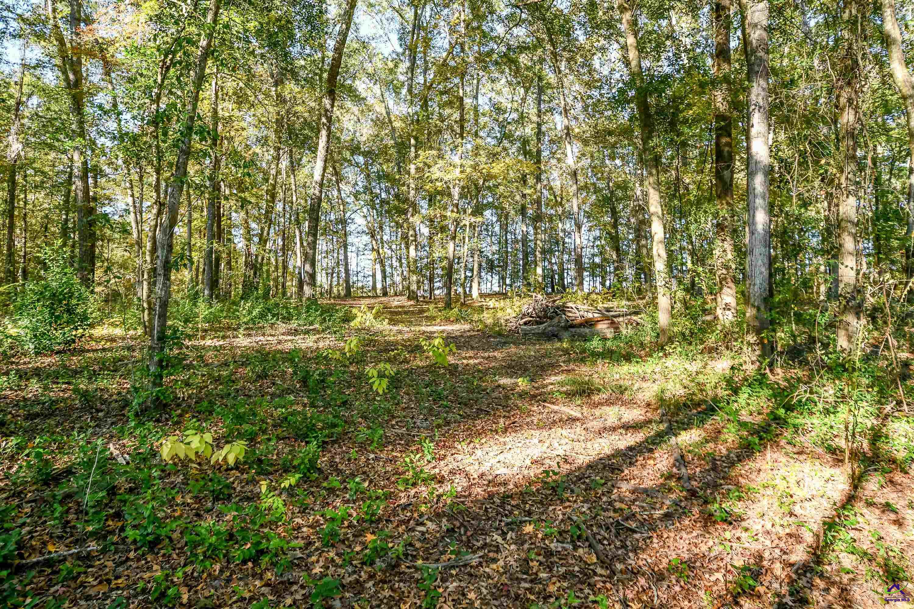 4285 Holly Hill Drive