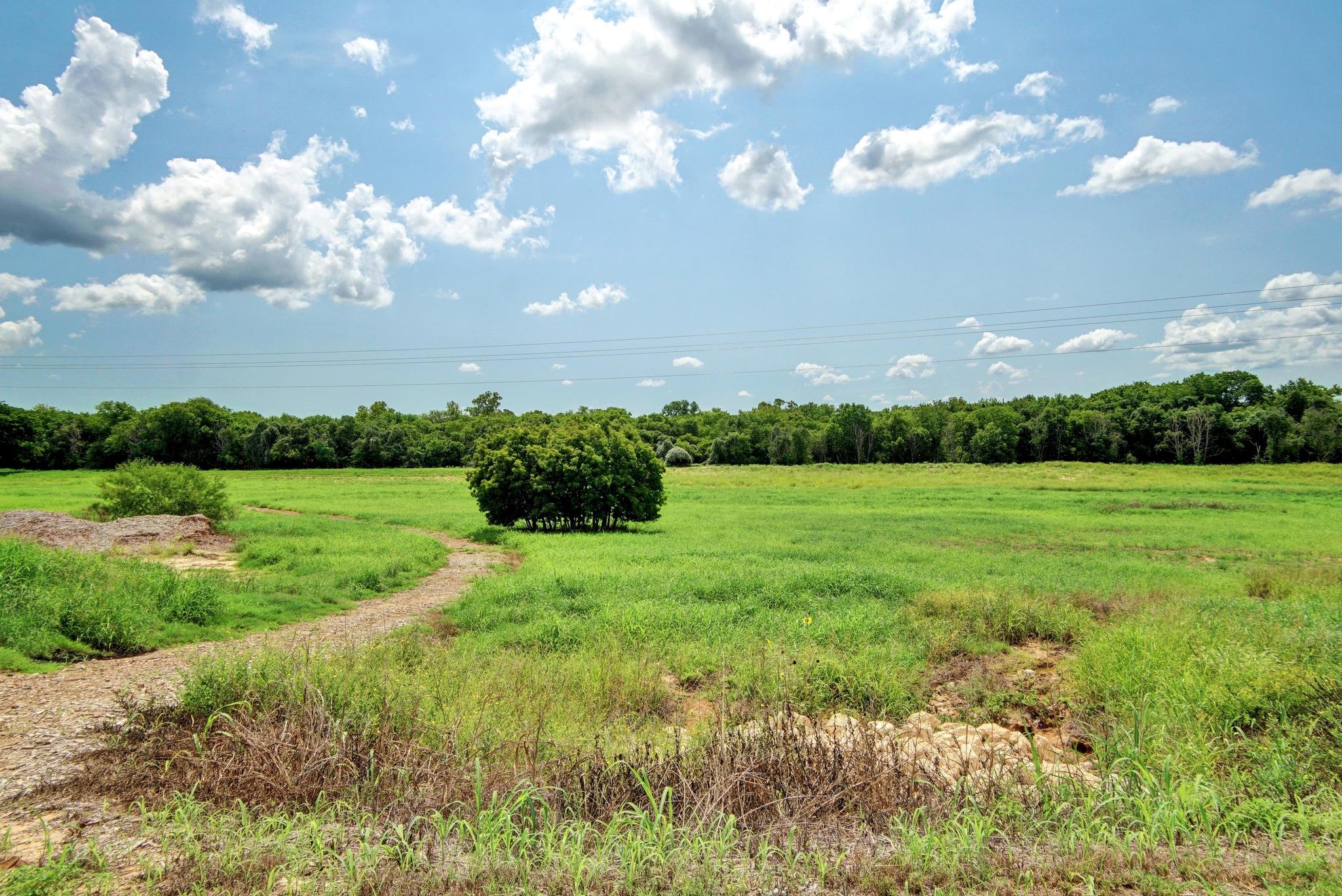 Grassy vacant lot with a curving gravel track, scattered trees, and a wooded horizon.