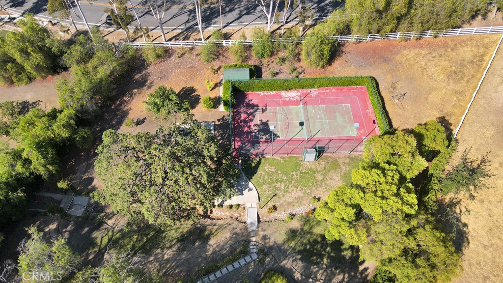 4228 Saddlecrest Lane