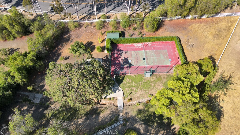 4228 Saddlecrest Lane