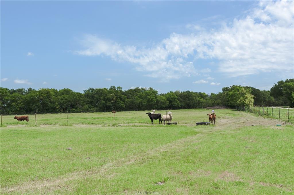 835 County Road 182