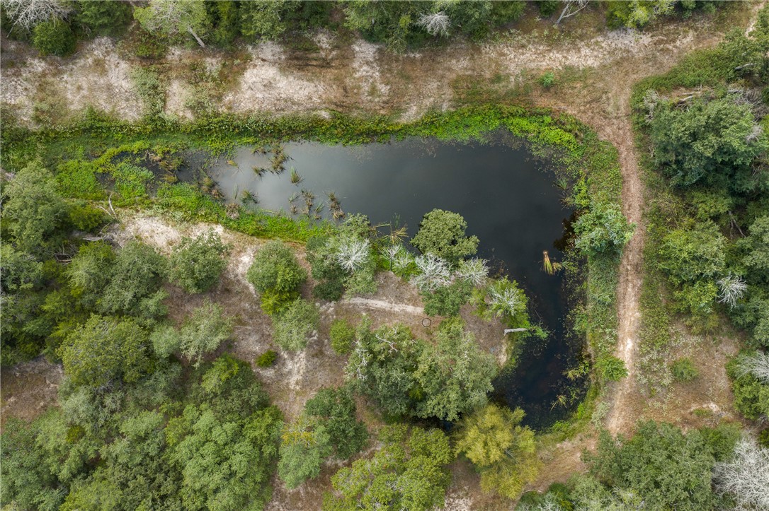 Aerial view of a wooded property with a pond and dirt tracks.
