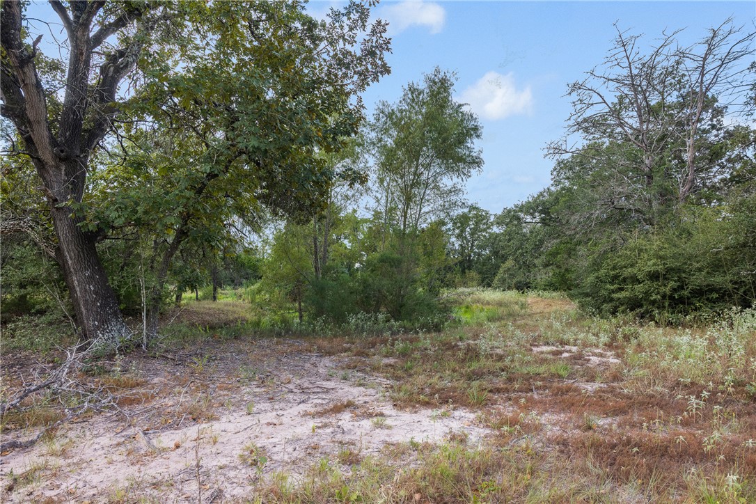Wooded property clearing with sandy ground and mature trees.