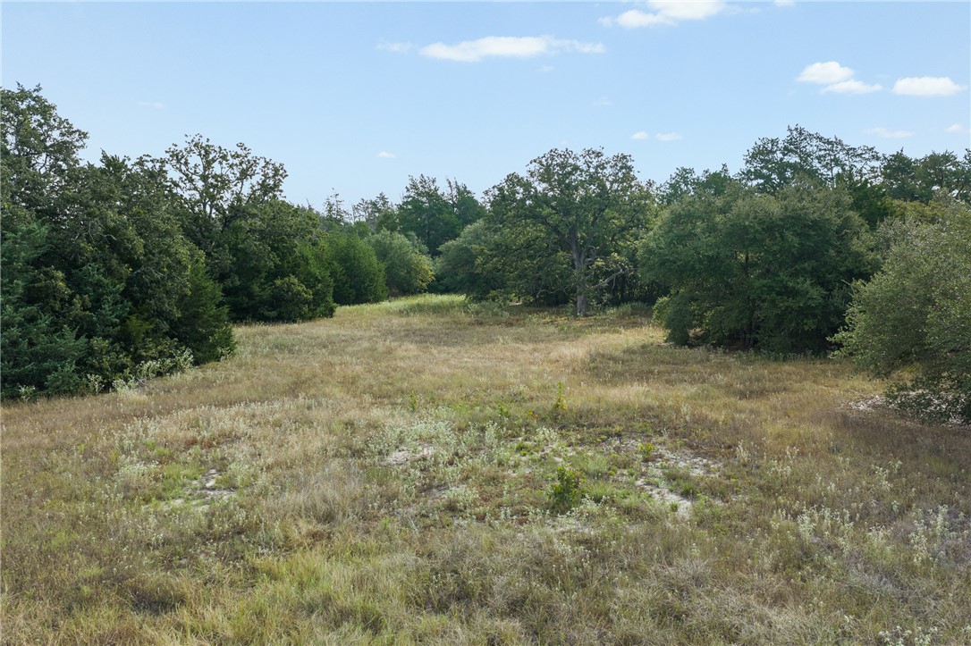 Grassy clearing bordered by mature trees on an undeveloped property.