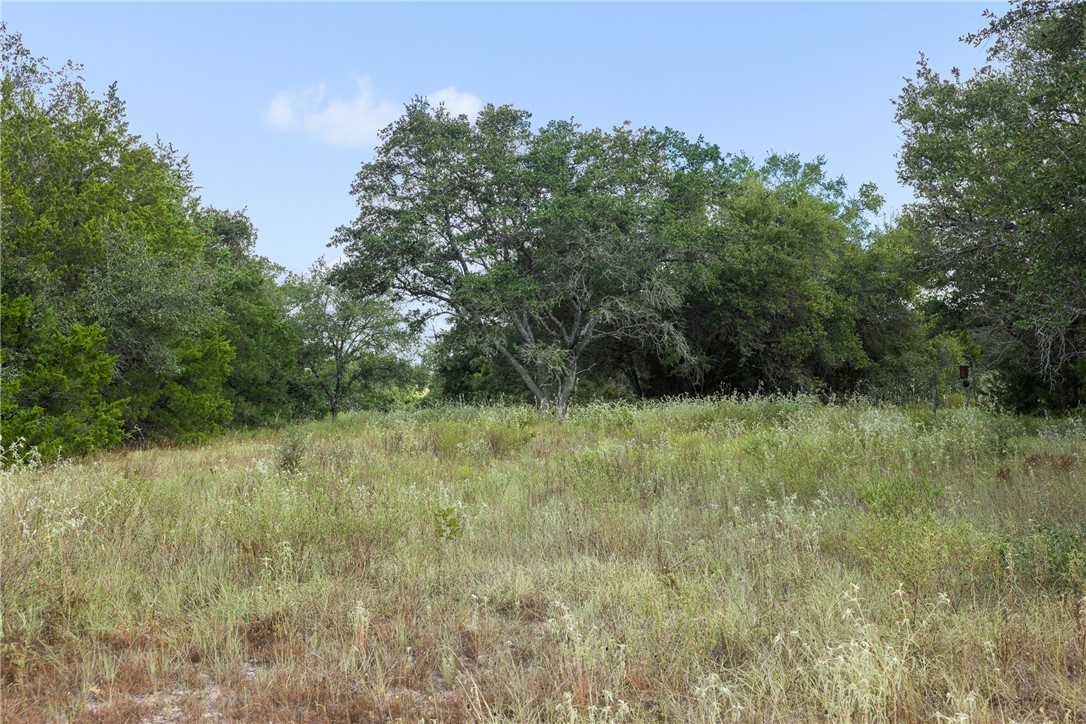 Grassy vacant land with mature trees and woodland along its edges.