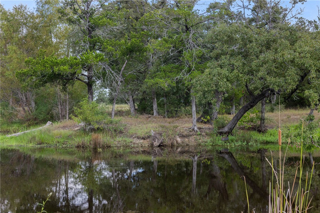 Wooded pond with mature trees and grassy banks reflected in the water.