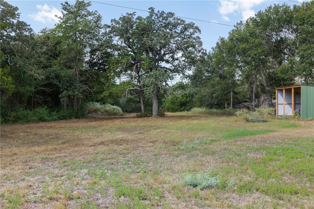 Wooded property clearing with mature trees and a small green metal outbuilding.