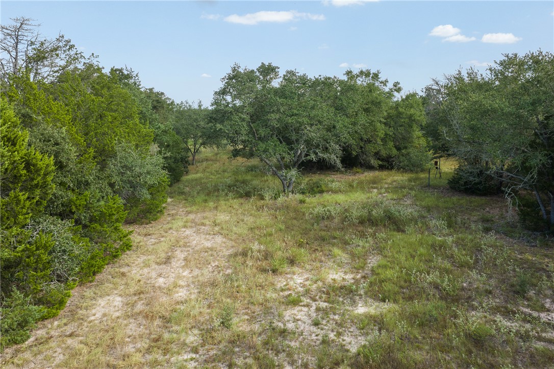 Wooded rural land with a grassy clearing and scattered mature trees.