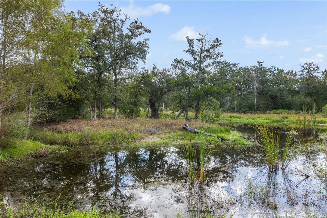 Wooded property with a reflective pond, shoreline reeds, and a fallen log.