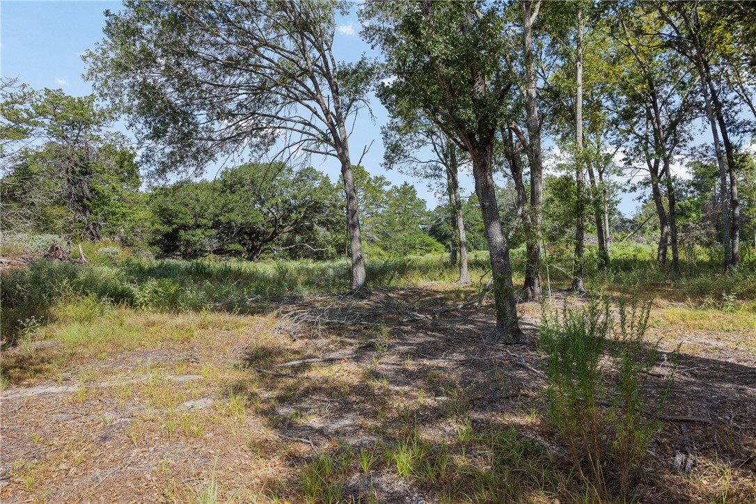 Wooded property with mature trees surrounding a patchy clearing.
