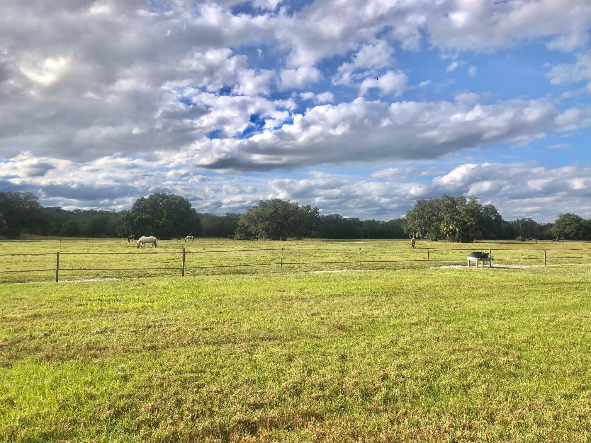 32801 Hwy 441 N